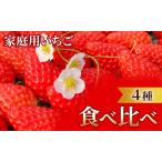 いちご 4種食べ比べ ご 果物