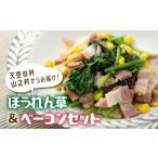 令和8年産 ほうれん草 ベーコン セット