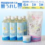 豊富温泉 濃縮温泉水サロベツ大地恵泉 500ml×6本