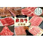 飛騨牛 定期便 全12回 A5等級すき焼き