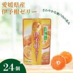 飲むゼリー 伊予柑 150g×6個×4箱