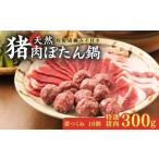 fu.... налог [ специальный отбор ... кастрюля комплект ] натуральный . мясо 300g+....10 шт Special производства тест . есть 2~3 порции ... кастрюля Kyoto Kyoto (столичный округ) 