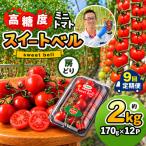高糖度 ミニトマト スイートベル 房どり 170g