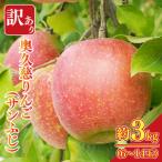 ふるさと納税 【訳あり】樹上完熟の奥久慈りんご「サンふじ」約3kg（6〜14玉）不揃い 規格外 傷あり 色むら 家庭用｜斉藤りんご園第2直売所 茨城.. 茨城県大子町