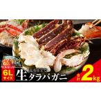 ふるさと納税 【年内発送】生タラバガニ 2kg 特大 6Lサイズ【昆布仕立て 化粧箱入り 贈答 ギフト カニ かに 蟹 たらば蟹 タラバ蟹 タラバカニ .. 大阪府泉佐野市
