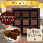 生チョコレート9種9粒詰め合わせ バーマンズ