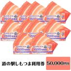 道の駅 利用券 道の駅しもつま50,000円分
