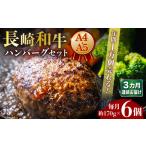 ふるさと納税 【3回定期便】長崎和牛ハンバーグ6個[ECS006] 和牛ハンバーグ 定期便 長崎県長与町