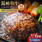 長崎和牛ハンバーグ6個 和牛ハンバーグ