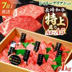7日発送 長崎和牛特上焼肉1kg 焼肉セット