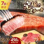 7日発送 長崎和牛 ヒレステーキ 450g
