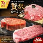 7日発送 長崎和牛ステーキ2種 牛肉 セット