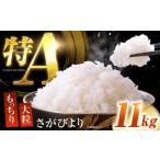 白米 さがびより11kg NAG006
