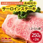 長崎和牛サーロインステーキ 500g