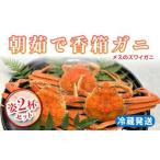 ふるさと納税 【先行予約】【冷蔵発送】朝茹で香箱ガニ メスのズワイガニ 姿2杯セット 2025年11月上旬以降発送 朝茹で カニ かに 蟹 姿 香箱蟹 .. 石川県加賀市