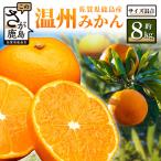 温州みかん 約8kg