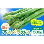 fu.... налог спаржа M~L 500g / спаржа aspala Gifu префектура .. город 