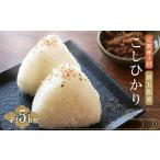 産こしひかり 寅五郎米