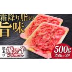 飛騨牛切り落とし500g 飛騨牛 切り落とし