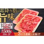 飛騨牛切り落とし500g 飛騨牛 切り落とし
