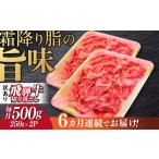 飛騨牛 切り落とし 250g×2パック
