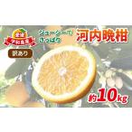 ふるさと納税 訳あり �