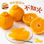 A品 不知火 約 3kg