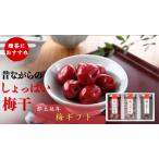郡上延年梅 梅干し 赤しそのセット 梅 うめ