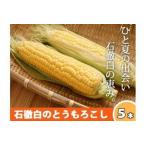 いとしろトウモロコシ 5本入り×2箱
