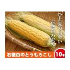 いとしろトウモロコシ 10本
