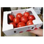 完熟いとしろトマト麗夏 1.5kg入り2箱