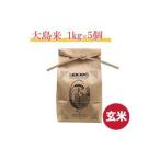 玄米 大島米1kg×5袋
