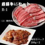 飛騨牛味付肉 200g×2