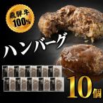 飛騨牛100%無添加ハンバーグ 10個