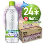 い ろ は す ハスカップ 540mlPET×24本