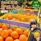 有田みかん 訳あり みかん 約0.9kg