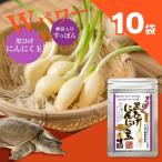 こつこつ真面目に作った すっぽん黒ひげにんにく玉