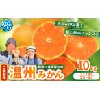 温州みかん 10kg