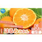 はるみ みかん 5kg