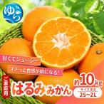 はるみ みかん 10kg