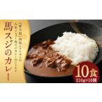 馬スジのカレー 10食