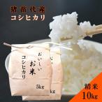 米 令和6年度産 コシヒカリ 10kg