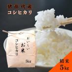 米 令和6年度産 コシヒカリ 5kg