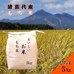 令和6年度産 もち米 5kg