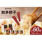 ふるさと納税 知多餃子 愛知県産 ご当地餃子 国産 生餃子 おかず ぎょうざ ギョウザ 冷凍食品 お惣菜 豚肉 中華 点心 お取り寄せ おつまみ 国産.. 愛知県知多市