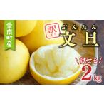 訳あり 文旦 2kg