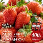 いちご 有機栽培 恋みのり 400g