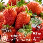 いちご 有機いちご200g 有機野菜セット