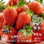 いちご 有機いちご400g 有機野菜セットB