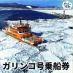 20-307 ガリンコ号3 IMERU 冬期運航